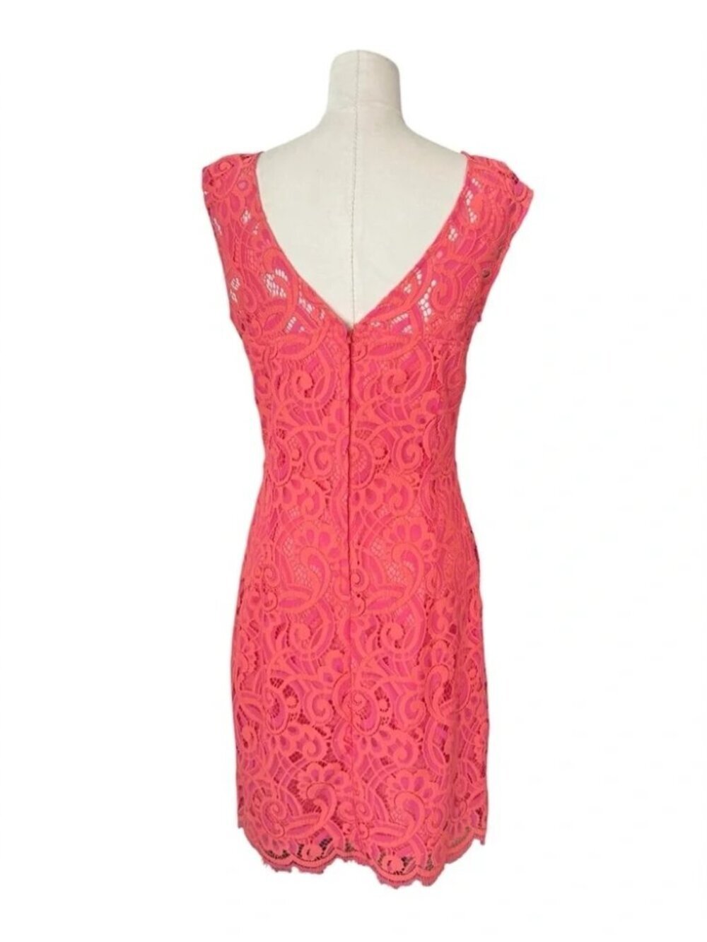 Lilly Pulitzer Rosaline Coral Pink Lace Sheath Dress Cap Sleeve Scalloped Hem - Picture 5 of 8